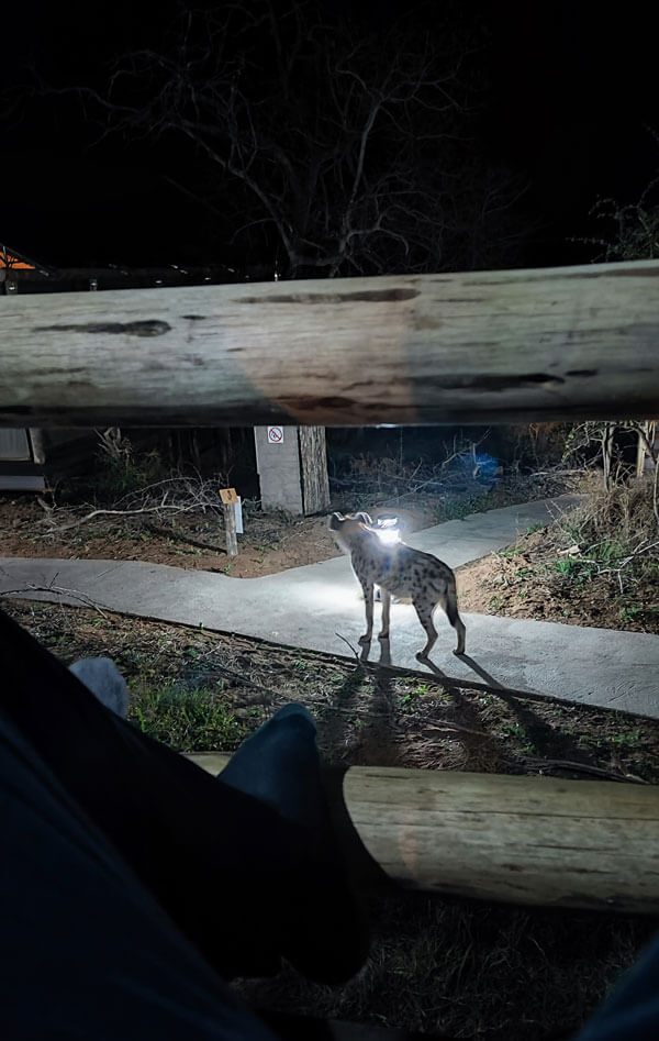 Gallery impression 1